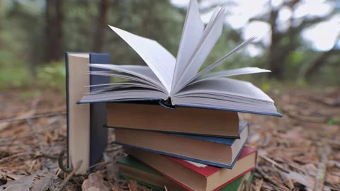 Stacked books in the forest Stock Footage 250244787