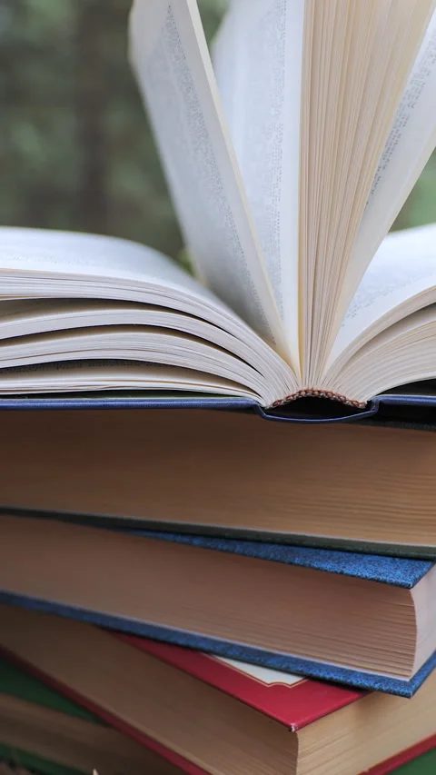 Stacked books in the forest Stock Footage 258895597