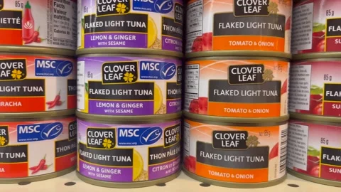Stacked cans of Clover Leaf flaked light tuna Vídeo Stock 259235569