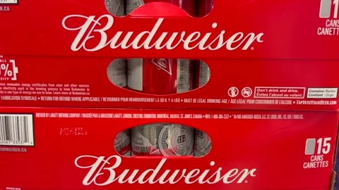 Stacked cases of Budweiser beer cans Stock-Footage 244659272