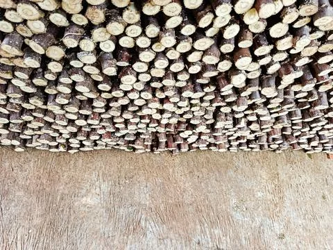 Stacked Cassava Stems Background with Copy Space, Tropical Agriculture Harvest S Stock Photos