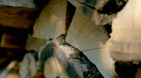 Stacked chopped firewood Stock Footage 67314141