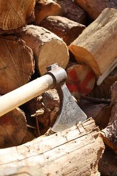 Stacked cut logs Foto stock
