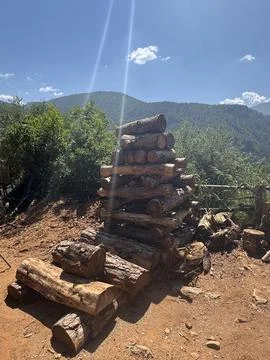 Stacked cut logs Stock Photos