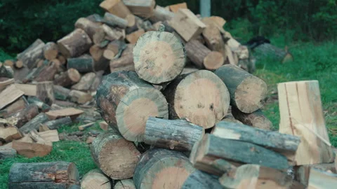 Stacked Cut Tree Logs Ready for Chopping into Firewood | Outdoor Lumber Stock Footage 327440347