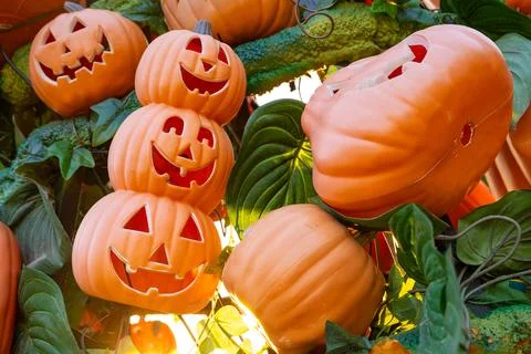 Stacked Decorative Jack-O’-Lantern Pumpkins with Leaves in Bright Sunlight Stock Photos