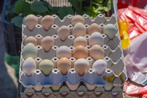 Stacked Eggs in Carton Stock Photos