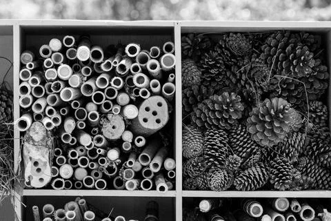 Stacked elements forming an insect hotel for species habitat Stock Photos