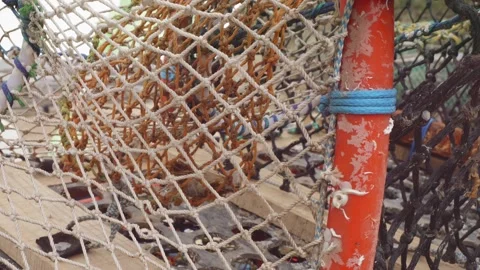 Stacked up empty crab and lobster nets stock footage Stock Footage 309547085
