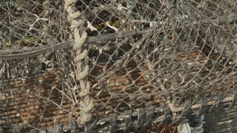 Stacked up empty crab and lobster nets stock footage Видео 309770221