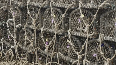Stacked up empty crab and lobster nets stock footage Vídeo Stock 314307078