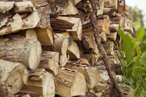 Stacked Fire Wood outside the cottage in the village summer day Stock Photos