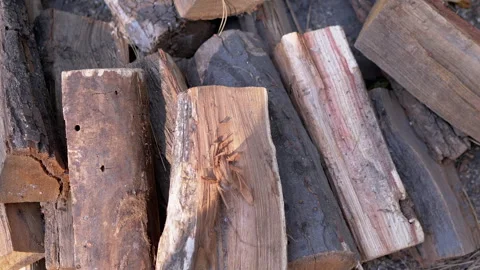 Stacked Firewood Close Up Stock Footage 293185977