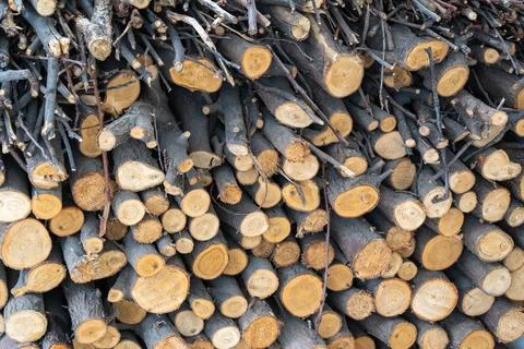 Stacked firewood logs background, cut tree trunks texture Stockfoto's