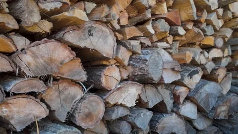 Stacked Firewood Logs Close Up Texture in Natural Light 4K Video stock 327274333