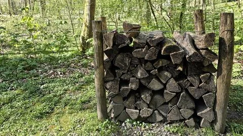 Stacked firewood logs rest between wooden posts within a bright spring f.. Stock Photos