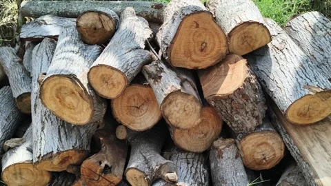 Stacked firewood logs with textured bark in nature Stock Footage 346773335