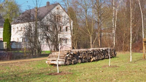 Stacked Firewood Logs in a Yard Stock Footage 331084839