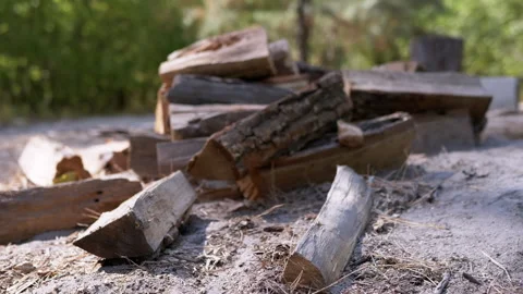 Stacked Firewood, Overhead View Stock Footage 293264931