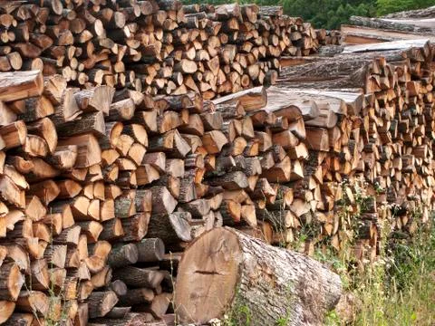 Stacked firewood Stock Photos