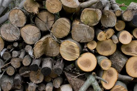Stacked Firewood Stock Photos