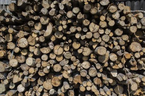 Stacked firewood. Foto stock