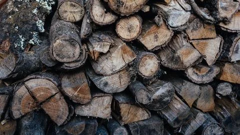 Stacked firewood Stock Photos