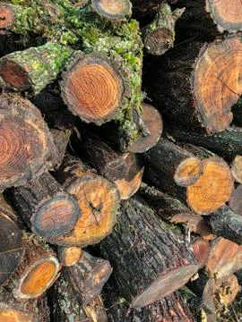 Stacked firewoods as a background Stock Photos