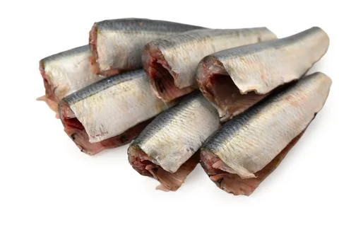 Stacked fish isolated on white background with neutral mood and top-down vi.. 库存照片