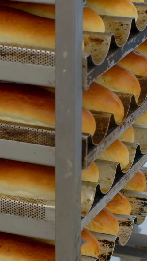 Stacked golden bread rolls resting in wave pans on industrial bakery rack Stock Footage 344574521
