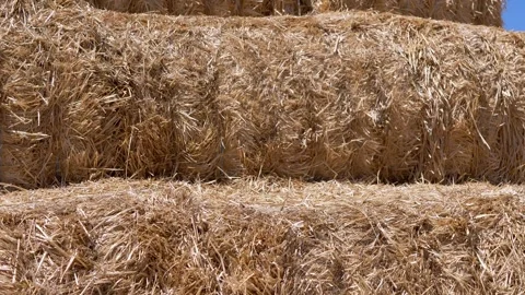 Stacked Golden Straw Bales Creating a Natural Textured Summer Background Stock Footage 339087730