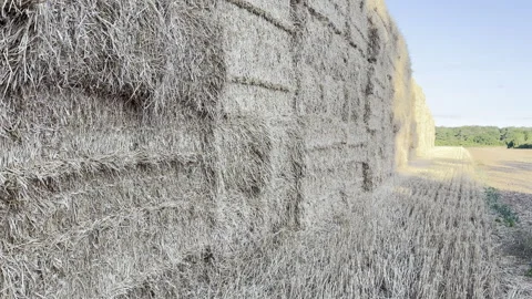 Stacked golden straw bales side view panning Stock Footage 341828716
