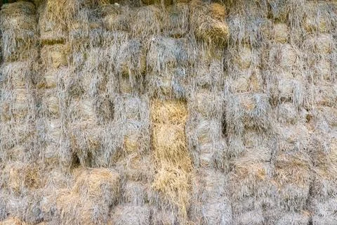 Stacked Hay Bale Background Texture Stock Photos