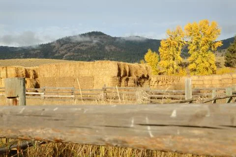 Stacked Hay for Winter 스톡 사진
