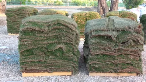 Stacked layers of lawn grass ready for placing Stock Footage 195856818