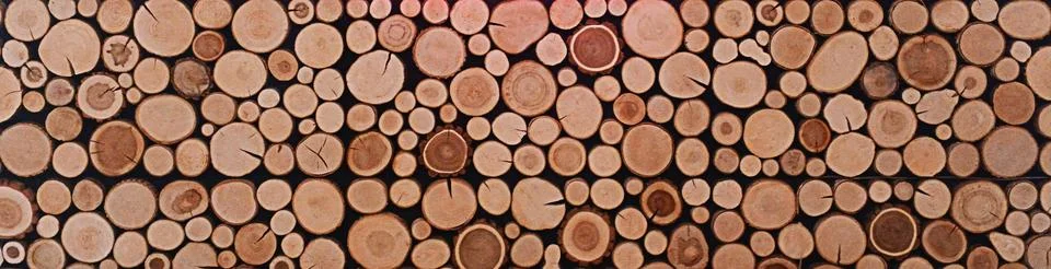 Stacked log cross-sections create a rustic wooden pattern with visible tree Stock Photos
