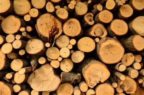 Stacked Logs Background Stock Photos