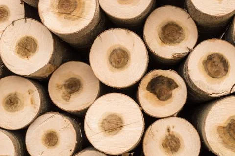 Stacked logs background Stock Photos