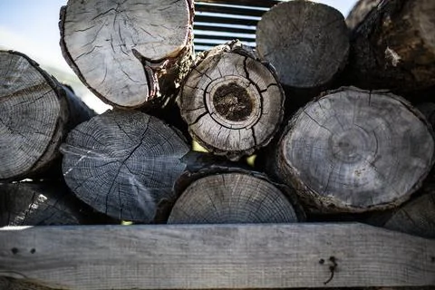 Stacked logs with cracked cross sections resting on a wooden beam Stock Photos