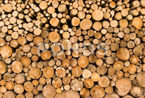 Stacked logs Stock Photos