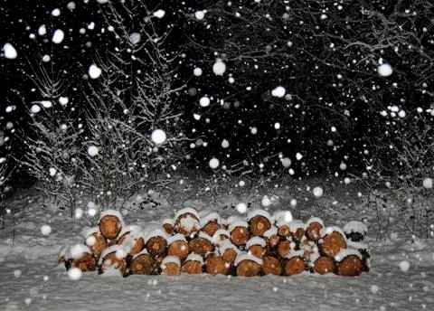Stacked logs in the snow Stock Photos