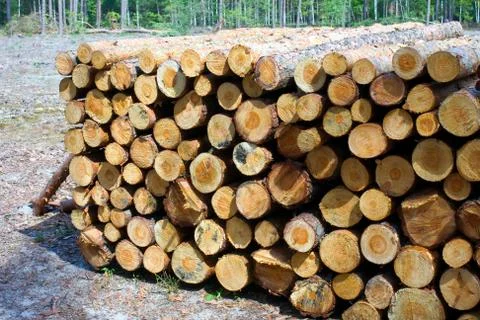 Stacked logs texture, natural background Stock Photos