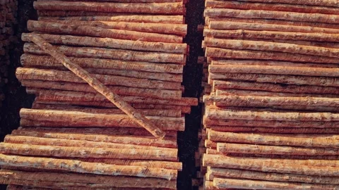 Stacked logs at a timber mill, Rotorua, New Zealand Stock Footage 135618205