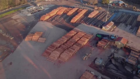 Stacked logs at a timber mill, Rotorua, New Zealand Stock Footage 135618610