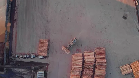 Stacked logs at a timber mill, Rotorua, New Zealand Stock Footage 135618967