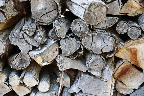 Stacked logs in the yard, background texture dried wood Stock Photos