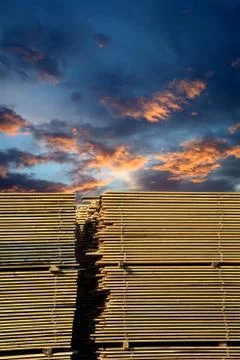 Stacked lumber Stock Photos