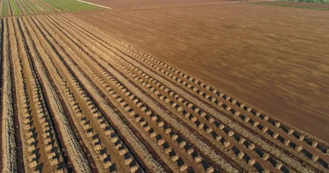 Stacked peat blocks drying in harvesting field aerial view Stock Footage 135142848