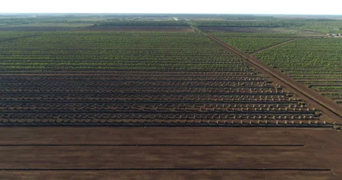 Stacked peat blocks drying in peat harvesting field aerial view Stock Footage 135194931