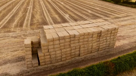 Stacked rectangular straw bales beside harvested cereal field with parallel Stock Footage 345126085